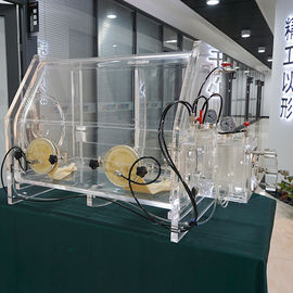 Scatola per guanti superiore di vuoto del banco con protezione dell'atmosfera di vuoto per il laboratorio